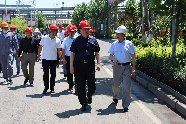 【重點(diǎn)項目推進(jìn)】王悅勤調研山東國銘 9MW光伏發(fā)電項目