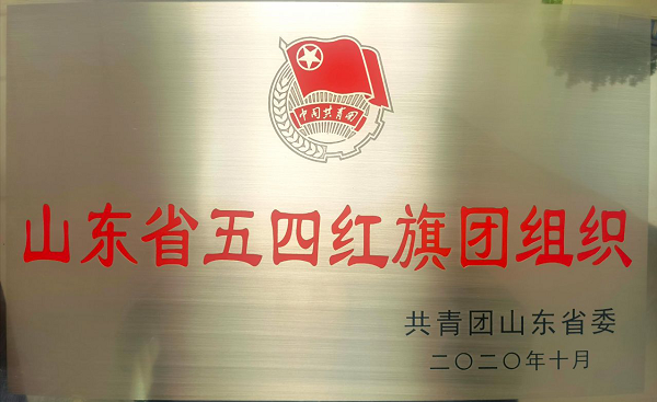 恒源熱力集團團委獲得 “山東省五四紅旗團組織”榮譽(yù)稱(chēng)號